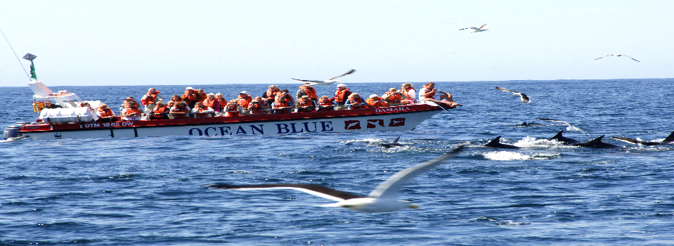 Ocean Blue Adventures