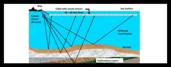 seismic survey