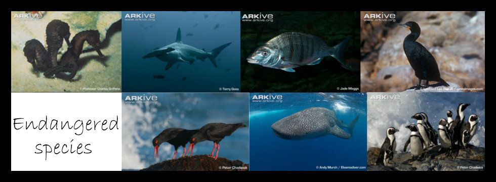Endangered Species Day - Ocean Blue Adventures
