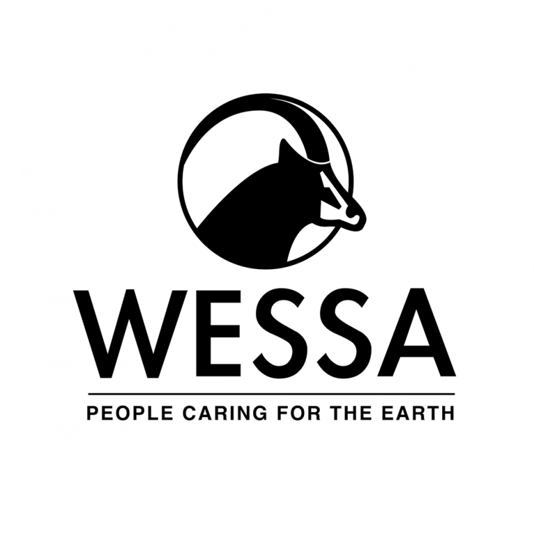 logo for the wessa icon on the ocean blue adventures website