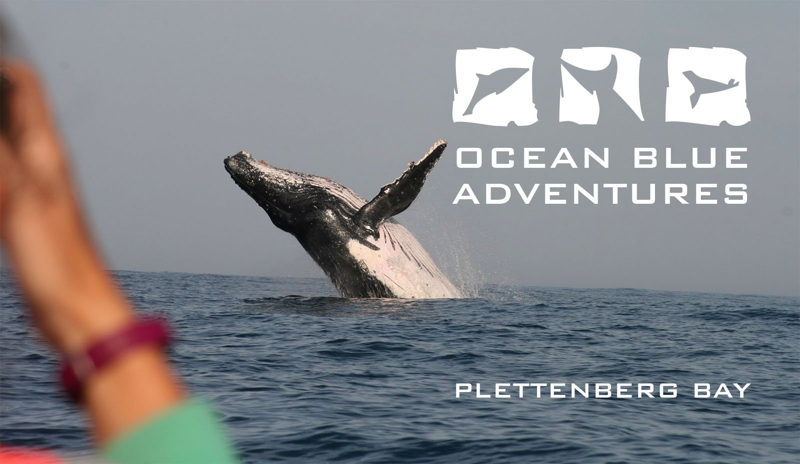 (c) Oceanadventures.co.za